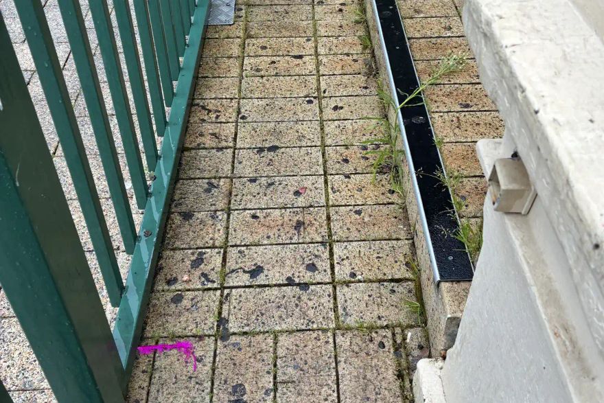Chewing gum: before